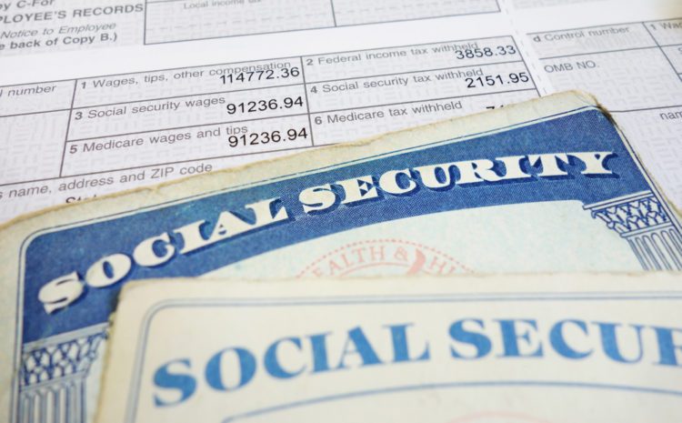social security cards photo